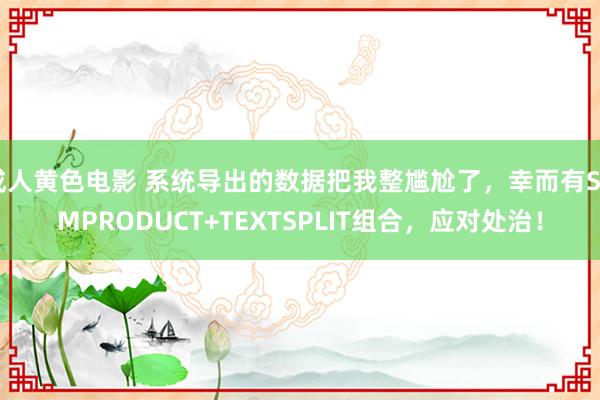 成人黄色电影 系统导出的数据把我整尴尬了，幸而有SUMPRODUCT+TEXTSPLIT组合，应对处治！