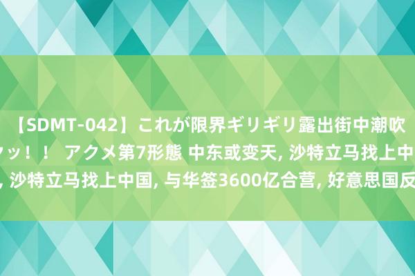 【SDMT-042】これが限界ギリギリ露出街中潮吹き アクメ自転車がイクッ！！ アクメ第7形態 中东或变天, 沙特立马找上中国, 与华签3600亿合营, 好意思国反对无效