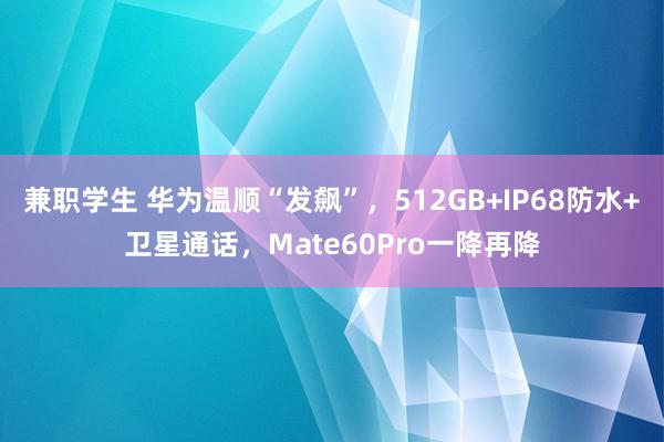 兼职学生 华为温顺“发飙”，512GB+IP68防水+卫星通话，Mate60Pro一降再降