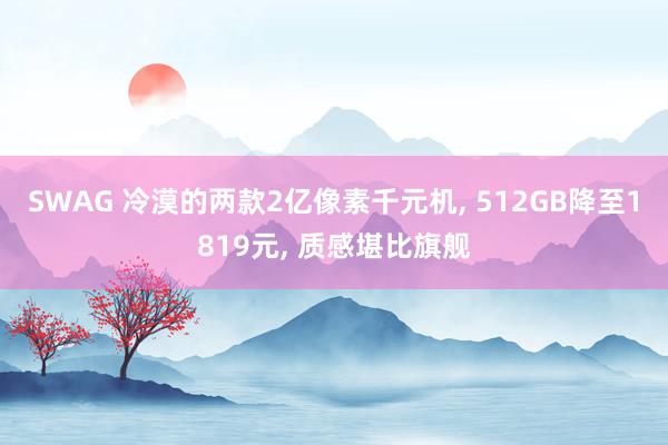 SWAG 冷漠的两款2亿像素千元机, 512GB降至1819元, 质感堪比旗舰