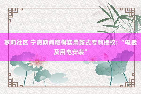 萝莉社区 宁德期间取得实用新式专利授权: “电板及用电安装”