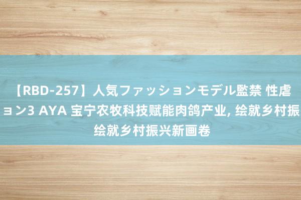 【RBD-257】人気ファッションモデル監禁 性虐コレクション3 AYA 宝宁农牧科技赋能肉鸽产业, 绘就乡村振兴新画卷