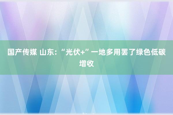 国产传媒 山东: “光伏+”一地多用罢了绿色低碳增收