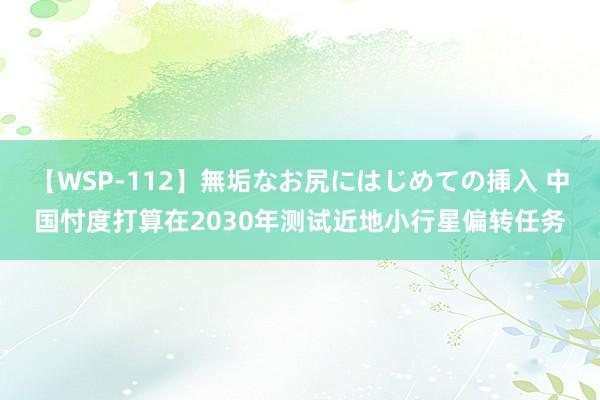 【WSP-112】無垢なお尻にはじめての挿入 中国忖度打算在2030年测试近地小行星偏转任务