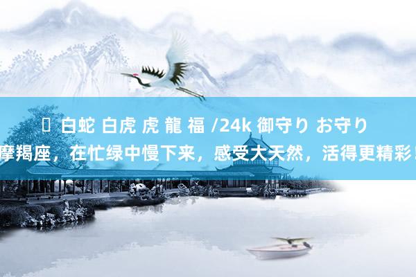 ✨白蛇 白虎 虎 龍 福 /24k 御守り お守り 摩羯座，在忙绿中慢下来，感受大天然，活得更精彩！