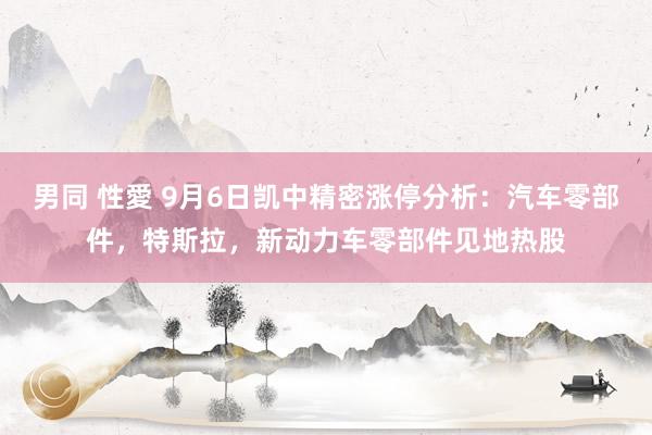 男同 性愛 9月6日凯中精密涨停分析：汽车零部件，特斯拉，新动力车零部件见地热股