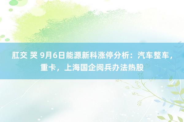 肛交 哭 9月6日能源新科涨停分析：汽车整车，重卡，上海国企阅兵办法热股