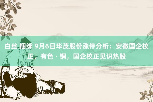 白丝 捆绑 9月6日华茂股份涨停分析：安徽国企校正，有色 · 铜，国企校正见识热股