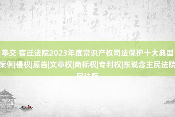 拳交 宿迁法院2023年度常识产权司法保护十大典型案例|侵权|原告|文章权|商标权|专利权|东说念主民法院