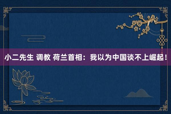 小二先生 调教 荷兰首相：我以为中国谈不上崛起！