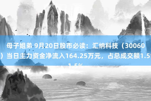 母子姐弟 9月20日股市必读：汇纳科技（300609）当日主力资金净流入164.25万元，占总成交额1.5%