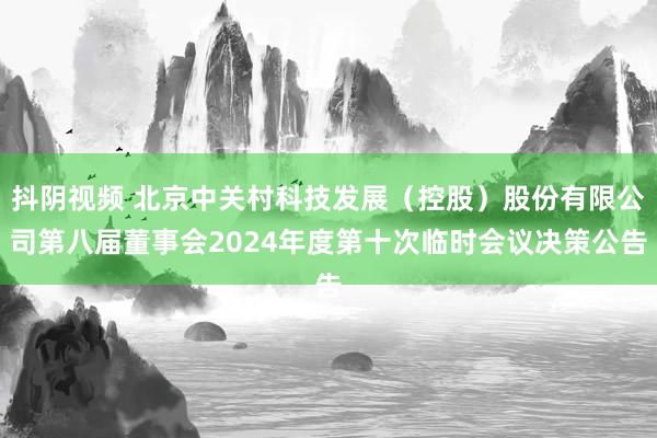 抖阴视频 北京中关村科技发展（控股）股份有限公司第八届董事会2024年度第十次临时会议决策公告