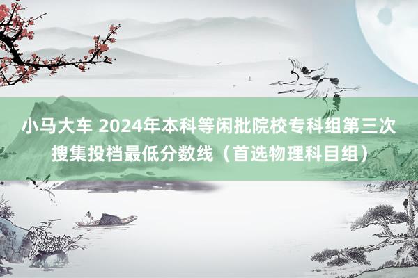 小马大车 2024年本科等闲批院校专科组第三次搜集投档最低分数线（首选物理科目组）